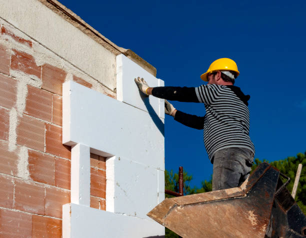 Best Insulation Removal  in Hartford, IL
