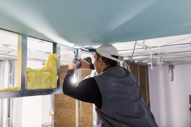 Insulation Inspection Services in Hartford, IL